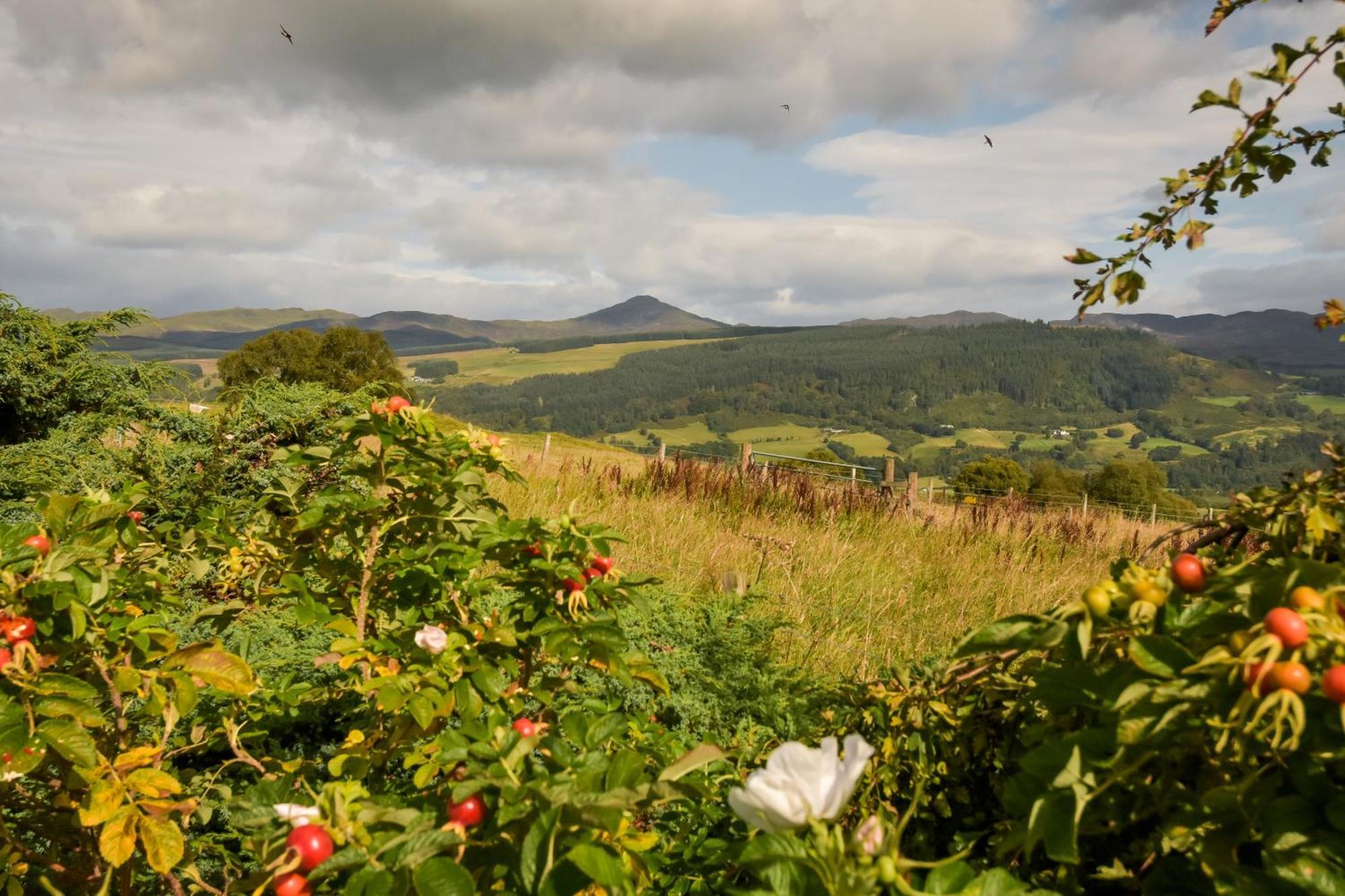 Errichel House And Cottages Aberfeldy Exteriér fotografie